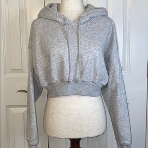 TNA Light Gray Cropped Hoodie size Small